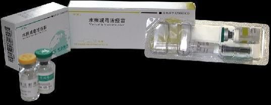 Preventing Chickenpox Immunization Vaccine