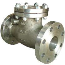 Swing NRV Valve