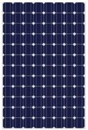 Mono-crystalline Solar Panels