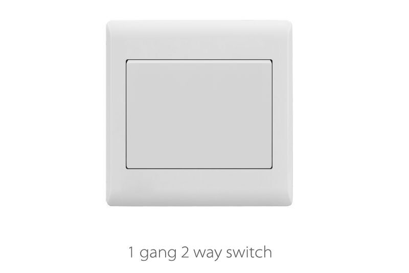 ivory switches