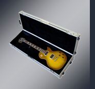 GUITAR CASE