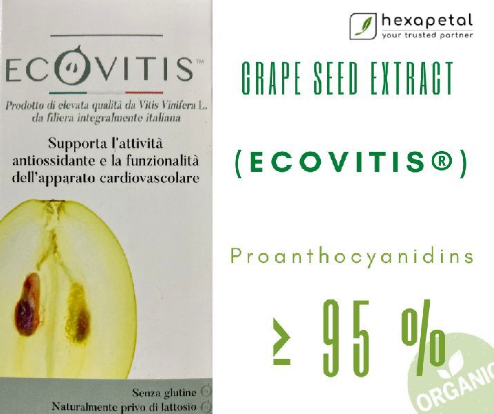 Grape Seed Extract 95 OPC (Ecovitis), for Human Consumption, Packaging Type : Drums