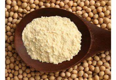 FULL FAT SOY FLOUR, Color : Light Yellow