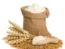 whole wheat flour