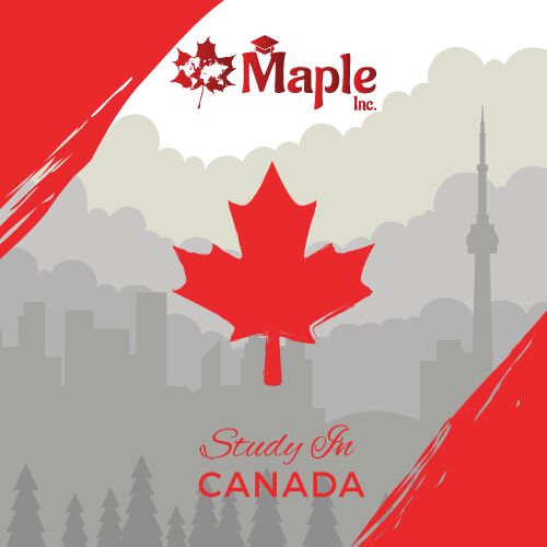 Maple Inc Education Consultants