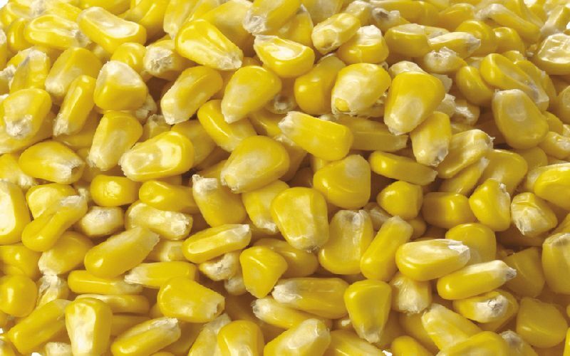 corn