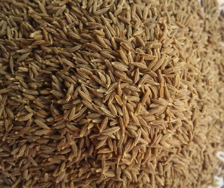 Cumin Seed, for Cooking, Feature : Non Harmful, Premium Quality