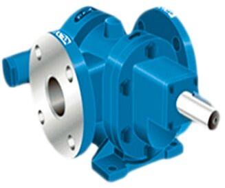 Multi Purpose Rotary Gear Pump