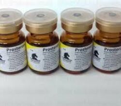 Pentosan Gold 50ml Injection