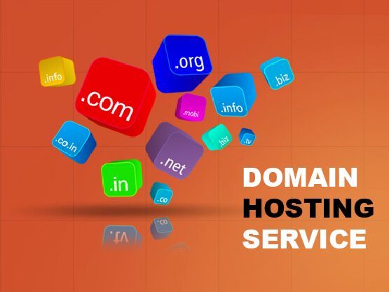 Domain Hosting Services