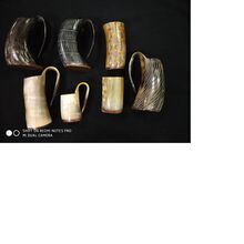 Horn Drinking Glasses