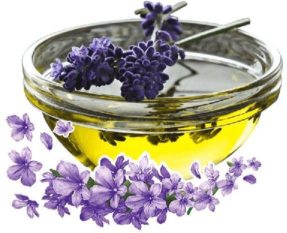 Lavender Oil Pure Essential Oil 100% Organic