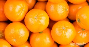 fresh orange