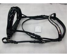 Export Quality DD Leather bridle With Fancy Brow band