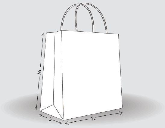 White Top Linear Shopping Bag Size - L16