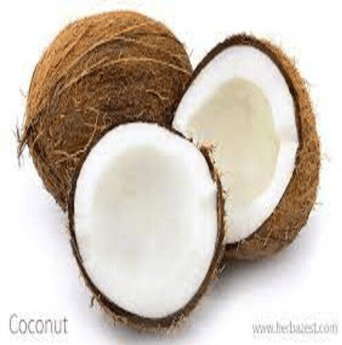 Raw Natural coconut, for Pooja, Packaging Type : PP Bag