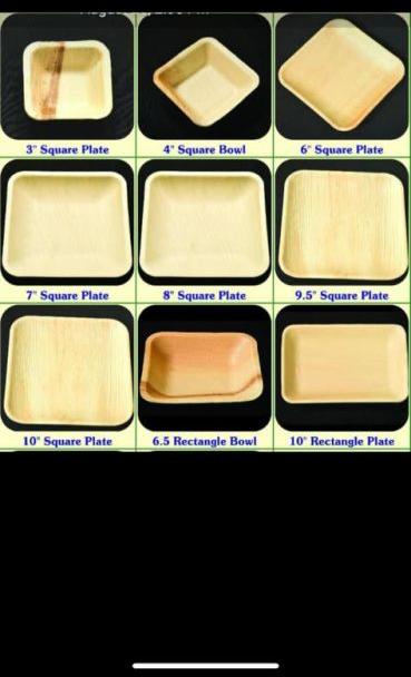 Square Areca Leaf Plate, for Serving Food