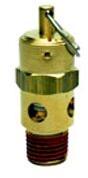 Safety Valves