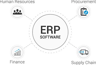 ERP Software Development Services