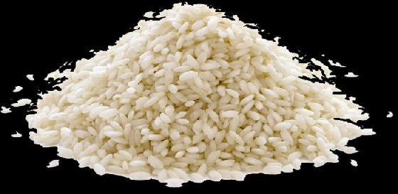 1121 White Sella Rice