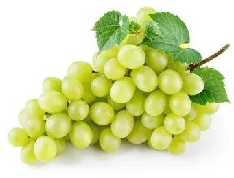 Fresh green grapes, Packaging Type : Carton