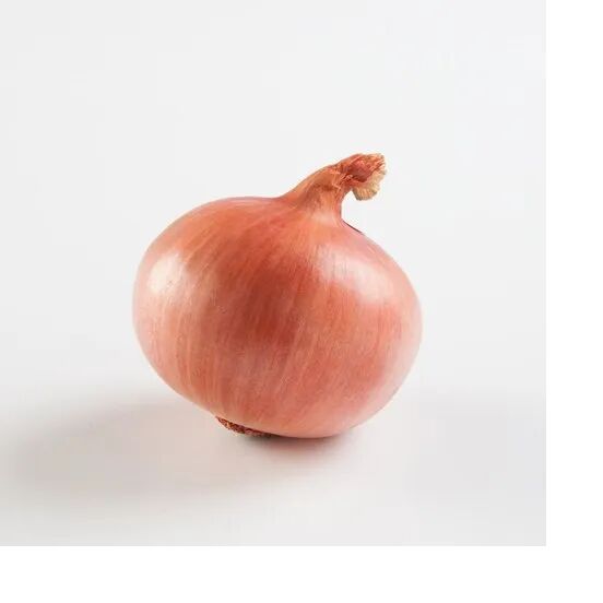 Fresh Pink Onion, For Food, Packaging Size : 10kg(maximum)