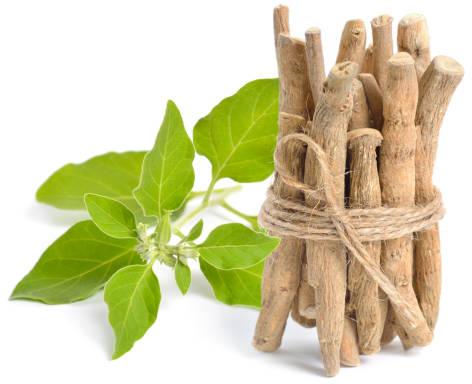 Brown Ashwagandha Roots, for Herbal Products, Style : Dried