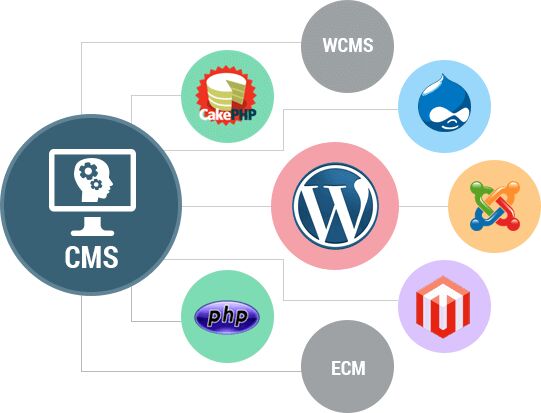 CMS Web Development Services