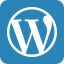 Wordpress website development service