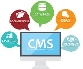 CMS Development Services