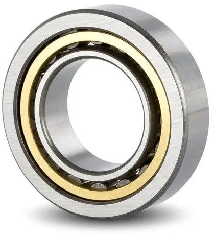 Stainless Steel cylindrical roller bearing, Packaging Type : Box