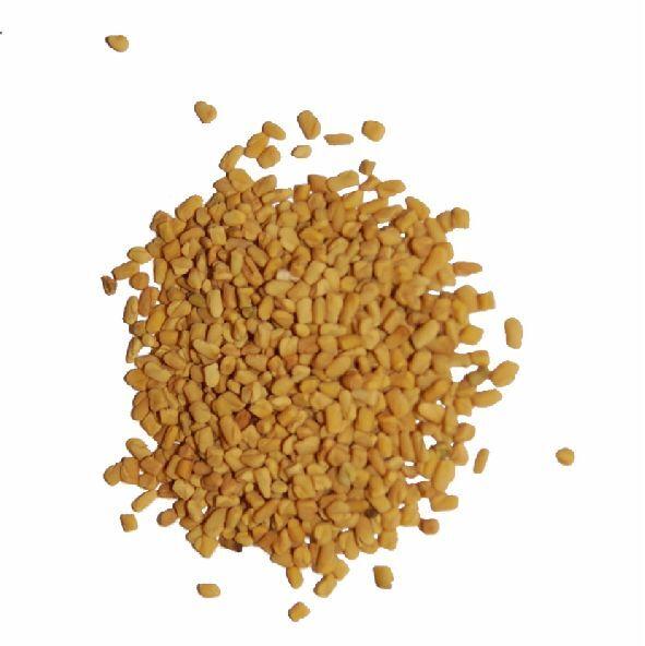 Common fenugreek seed, Certification : FSSAI