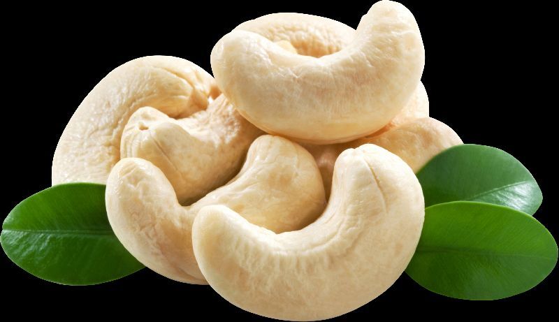 cashew kernels