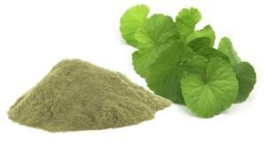 Brahmi Powder, Purity : 99 %