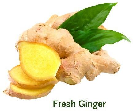 Common Fresh Ginger, for Cooking, Medicine, Packaging Type : Gunny Bags