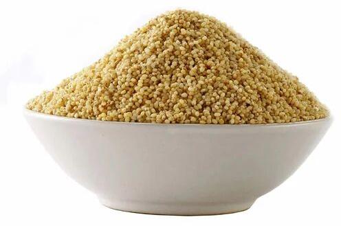 Organic Foxtail Millet Rava