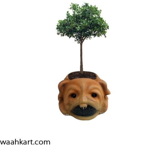 Small Puppy Face Planter