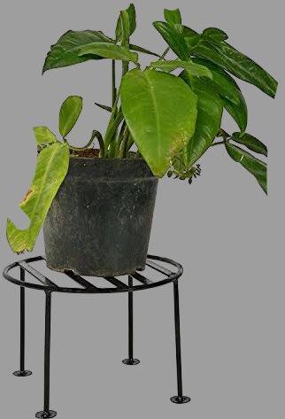 Powder coting Plant Stand, Shape : circle