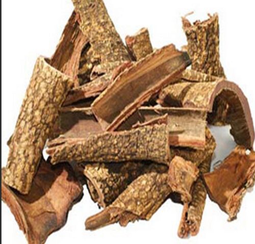 Dried Symplocos Racemosa