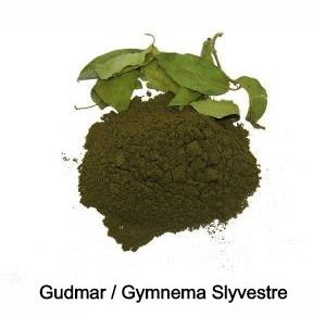 Form Gymnema Sylvestre Powder, Packaging Size : Lose