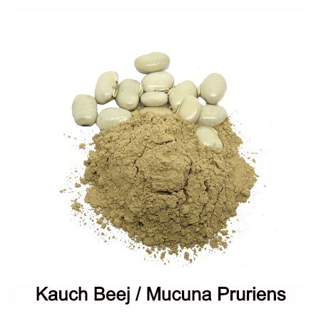 Mucuna Pruriens Powder
