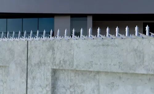 GI Bird Wall Spikes