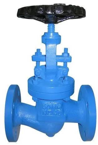 Steam Globe Valve