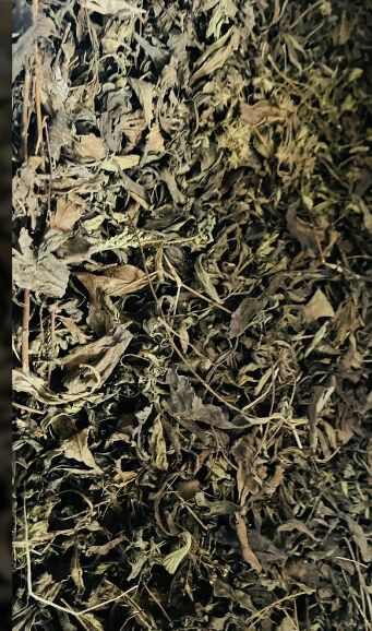 Organic Dried Stevia Leaves, Packaging Type : Loose