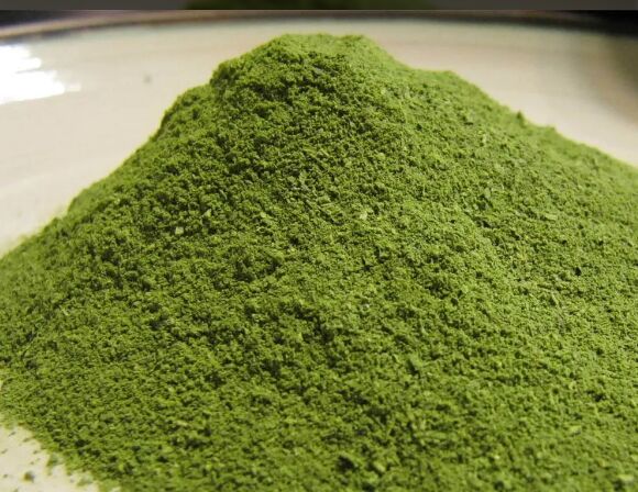 Organic Moringa Leaves Powder