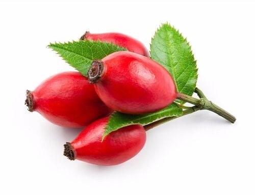 Rosehip Carrier Oil