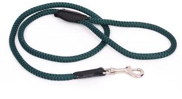 Pet Leash