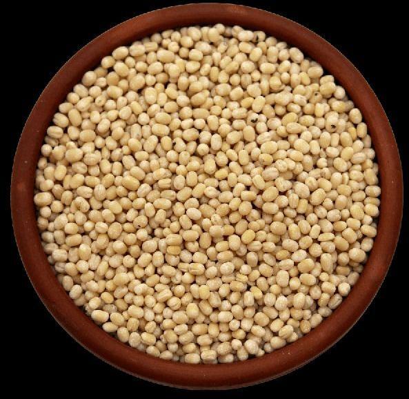 Urad Dhal