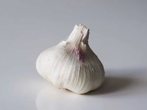 fresh garlic