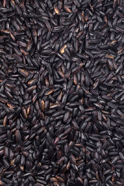 Natural Hard black rice, Shelf Life : 2years